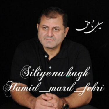 دانلود آهنگ جدید حمید مرد فکری سیلی ناحق